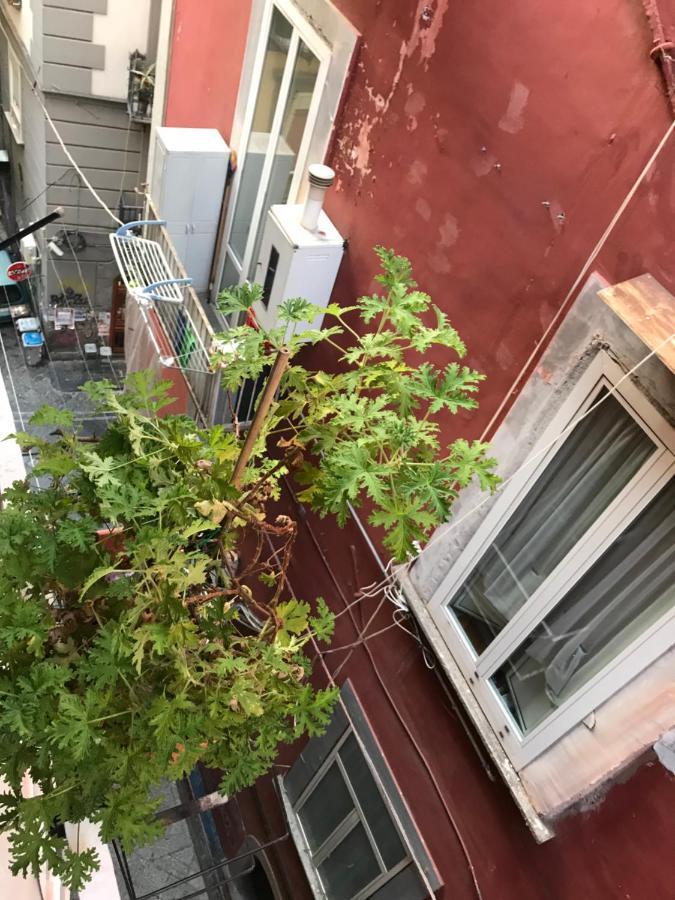 Hotel Cisterna'S House Neapol Zewnętrze zdjęcie